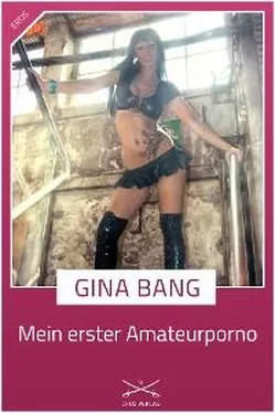 Gina Bang Mein erster Amateuerporno обложка книги