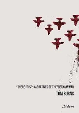 Tom Burns There It Is: Narratives of the Vietnam War обложка книги