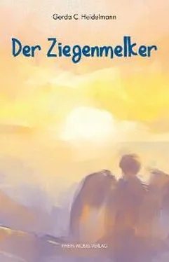 Gerda C. Heidelmann Der Ziegenmelker обложка книги