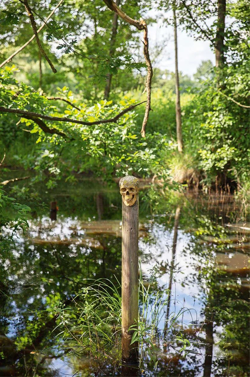 4 Wildgarten Furth im Wald An der Dabergerstraße 33 in die Stichstraße abbiegen - фото 10