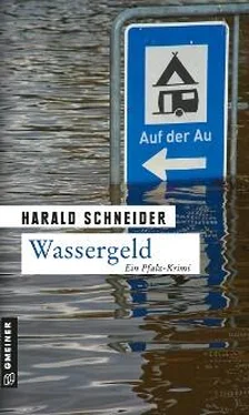 Harald Schneider Wassergeld обложка книги