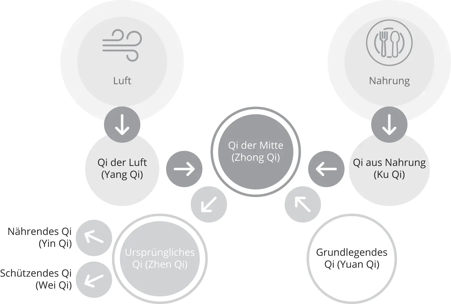Abbildung 32 Umwandlung von Luft und Nahrungsmitteln in Energie Was ist die - фото 37