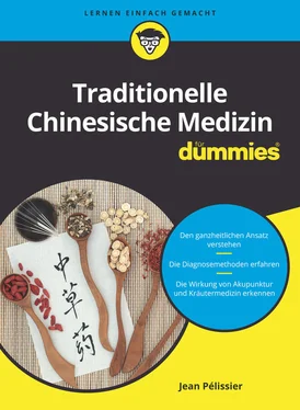 Jean Pélissier Traditionelle Chinesische Medizin für Dummies обложка книги