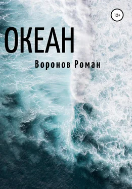 Роман Воронов Океан обложка книги