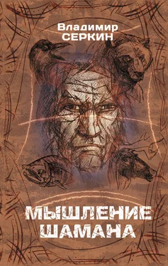 Владимир Серкин Мышление шамана обложка книги