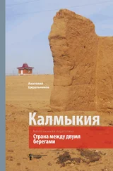 Анатолий Цирульников - Неопознанная педагогика. Калмыкия. Страна между двумя берегами