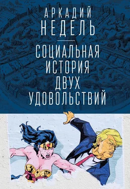 Аркадий Недель Социальная история двух удовольствий обложка книги