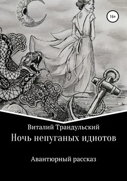 Валерий Трандульский Ночь непуганых идиотов обложка книги