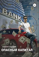 Андрей Кушаков - Опасный капитал