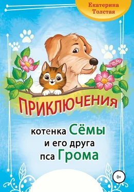 Екатерина Толстая Приключения котёнка Сёмы и его друга пса Грома обложка книги