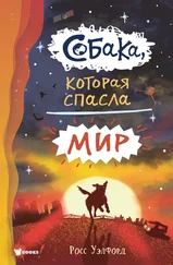 Росс Уэлфорд - Собака, которая спасла мир