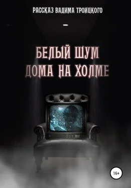 Вадим Троицкий Белый шум дома на холме обложка книги