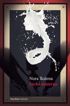 Nora Ikstena Leche materna обложка книги