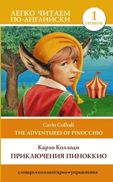 Carlo Collodi Приключения Пиноккио / The adventures of Pinocchio. Уровень 1 обложка книги