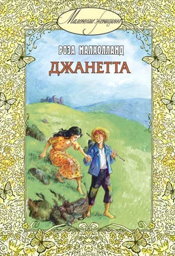 Роза Малхолланд Джанетта обложка книги