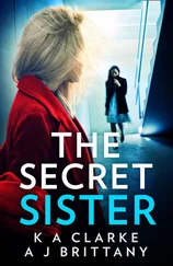 Karen Clarke - The Secret Sister
