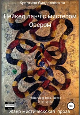 Кристина Синдаловская Нейкед ланч с мистером Овером обложка книги