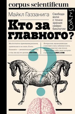 Майкл Газзанига Кто за главного? Свобода воли с точки зрения нейробиологии обложка книги