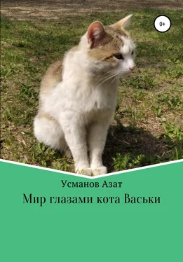 Азат Усманов Мир глазами кота Васьки обложка книги