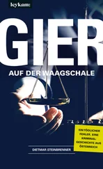 Dietmar Steinbrenner - Gier auf der Waagschale