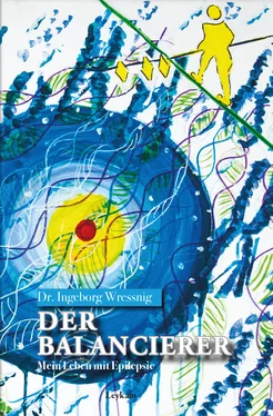 Ingeborg Wressnig Der Balancierer – Mein Leben mit Epilepsie обложка книги