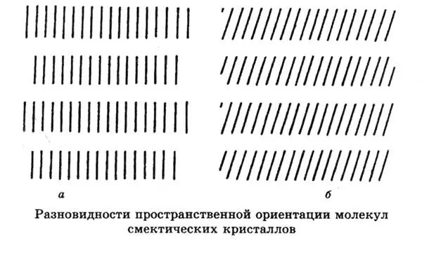 Типичными лиотропными кристаллами являются биологические мембраны Мембрана - фото 83