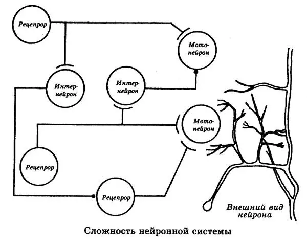 Окружающий человека мир наполнен информацией Все скольконибудь сложное и - фото 123
