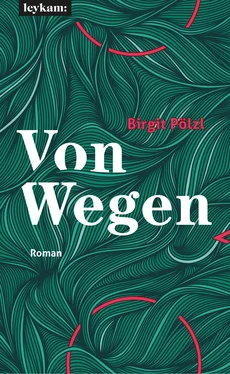 Birgit Pölzl Von Wegen обложка книги