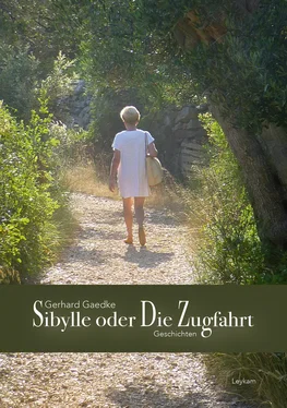 Gerhard Gaedke Sibylle oder Die Zugfahrt обложка книги