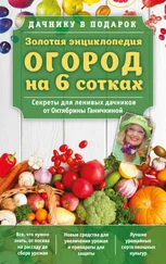 Александр Ганичкин - Золотая энциклопедия. Огород на 6 сотках. Секреты для ленивых дачников от Октябрины Ганичкиной