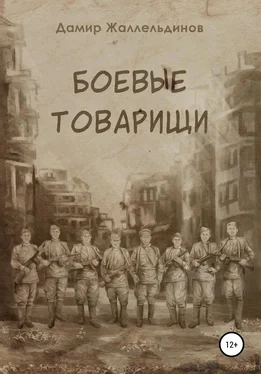 Дамир Жаллельдинов Боевые товарищи обложка книги