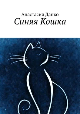 Анастасия Данко Синяя Кошка обложка книги