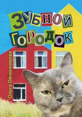 Ольга Овчинникова Зубной городок обложка книги