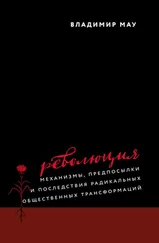 Владимир Мау - Революция. Механизмы, предпосылки и последствия радикальных общественных трансформаций