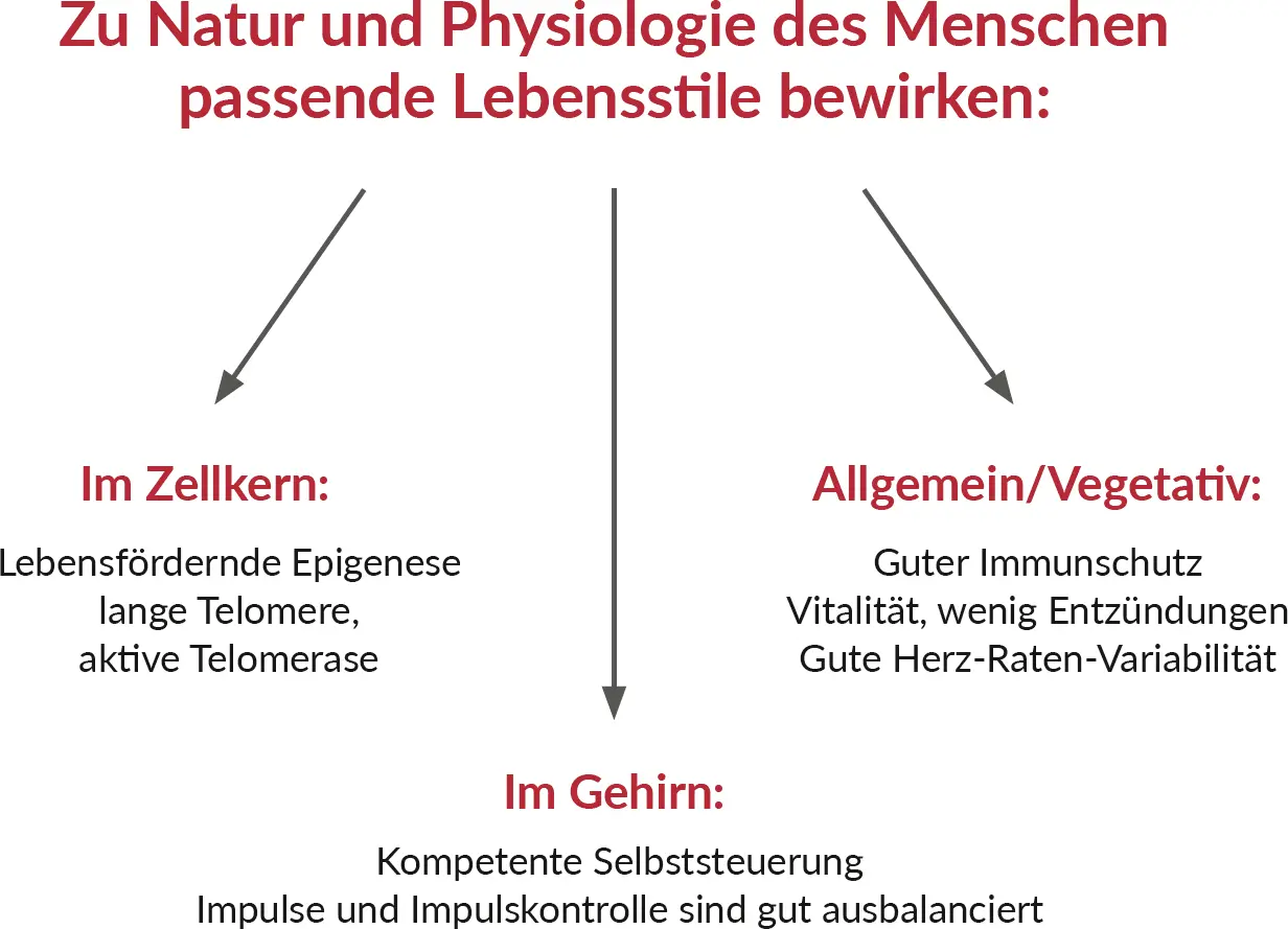 Abb 5 Wirkungen von zu Natur und Physiologie des Menschen passenden - фото 6
