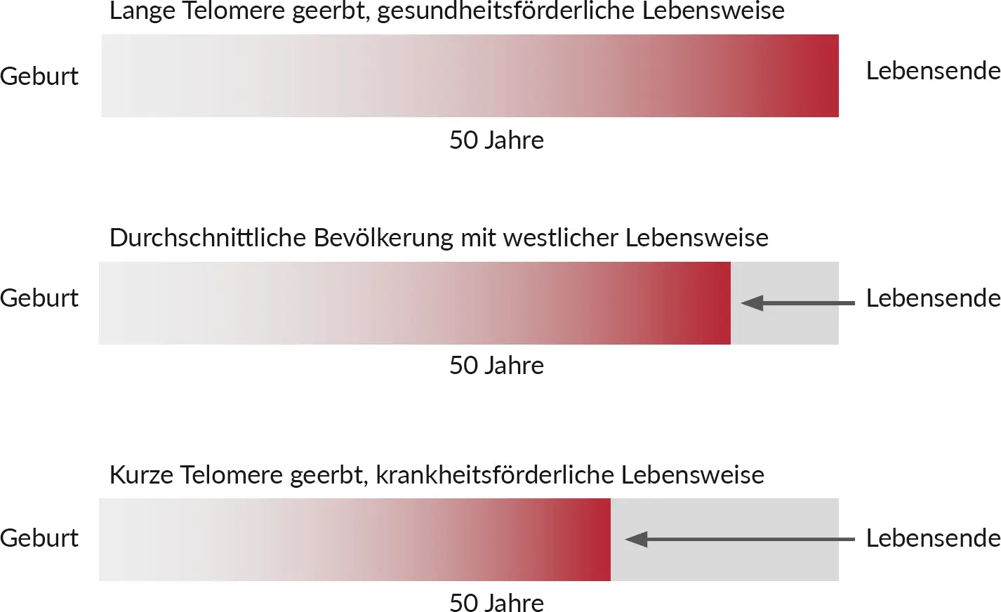 Abb 3 Grafik weiterentwickelt nach einer Vorlage aus Die Entschlüsselung - фото 5