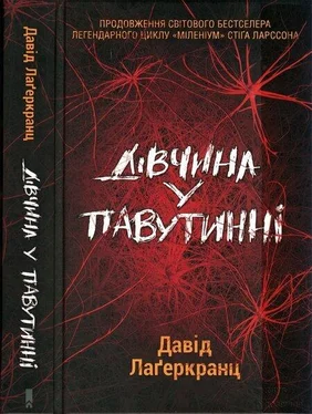 Давід Лаґеркранц Дівчина у павутинні обложка книги