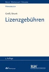 Michael Groß - Lizenzgebühren