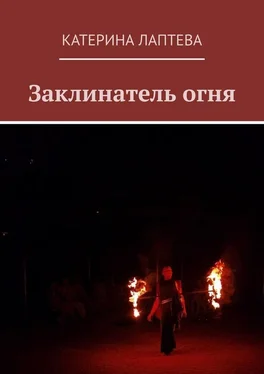 Катерина Лаптева Заклинатель огня обложка книги