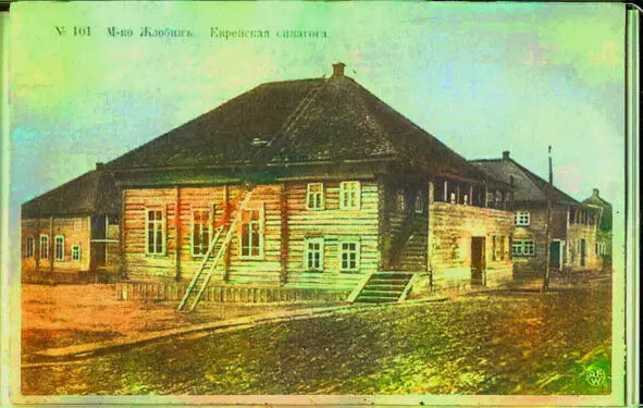 В книге приведены основные данные о беларуском городе Жлобине и его - фото 1