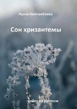 Луиза Кипчакбаева Сон хризантемы. Хайку на русском обложка книги