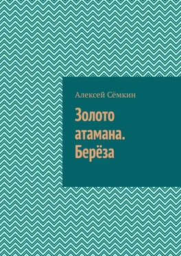 Алексей Сёмкин Золото атамана. Берёза обложка книги