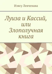 Иэясу Левченава - Луиза и Кассий, или Злополучная книга