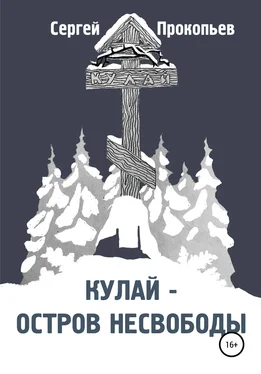 Сергей Прокопьев Кулай – остров несвободы обложка книги