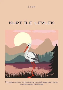 Эзоп KURT İLE LEYLEK. Турецкая басня с переводом на русский язык для чтения, аудирования и пересказа обложка книги