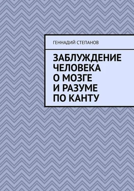 Геннадий Степанов Заблуждение человека о Мозге и Разуме по Канту обложка книги