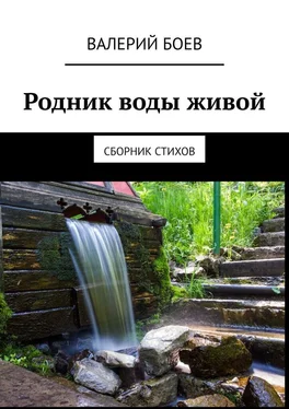 Валерий Боев Родник воды живой. Сборник стихов обложка книги