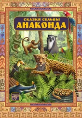 Орасио Кирога - Анаконда. Сказки сельвы