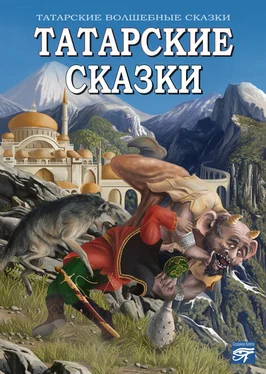 Сборник Татарские сказки обложка книги