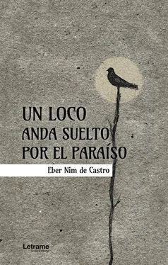 Eber Nim de Castro Un loco anda suelto por el paraíso обложка книги